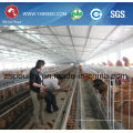 6X3-Tier Layer Manual Cages Electro Galvanized/Hot Dipped/PVC Coated Chicken Cages/Egg Laying Hen/Battery Cage for South Africa